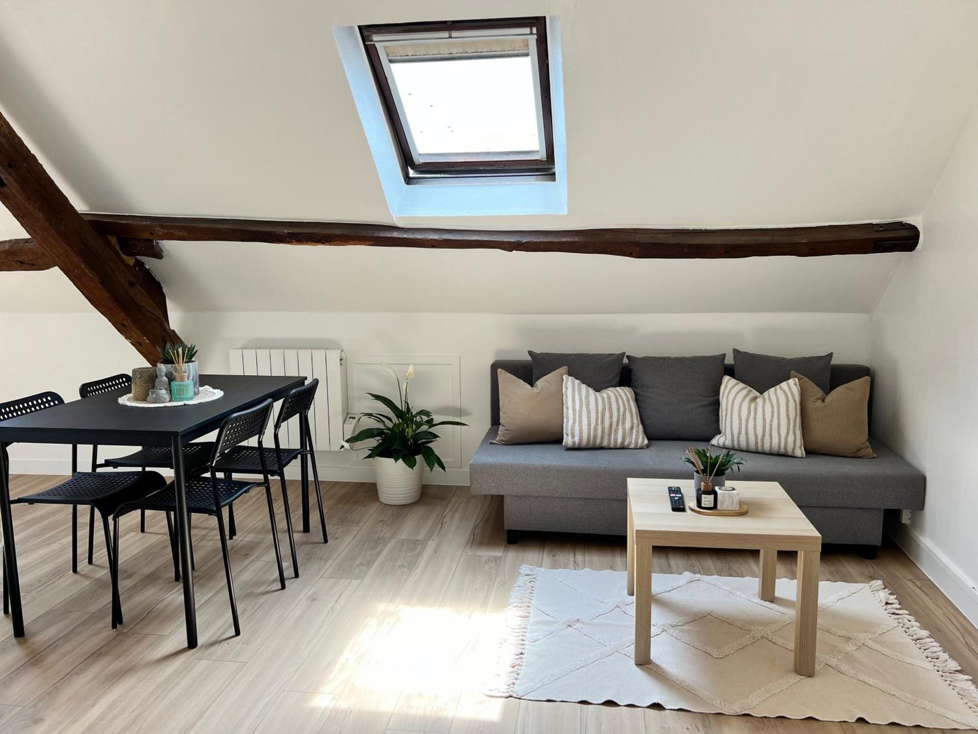 Appart Asterix Cdg Parc Expo Paris Chantilly Apartment Plailly Exterior photo